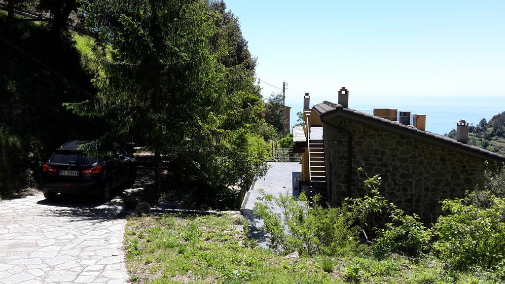 Arvasia Vernazza Dış mekan fotoğraf